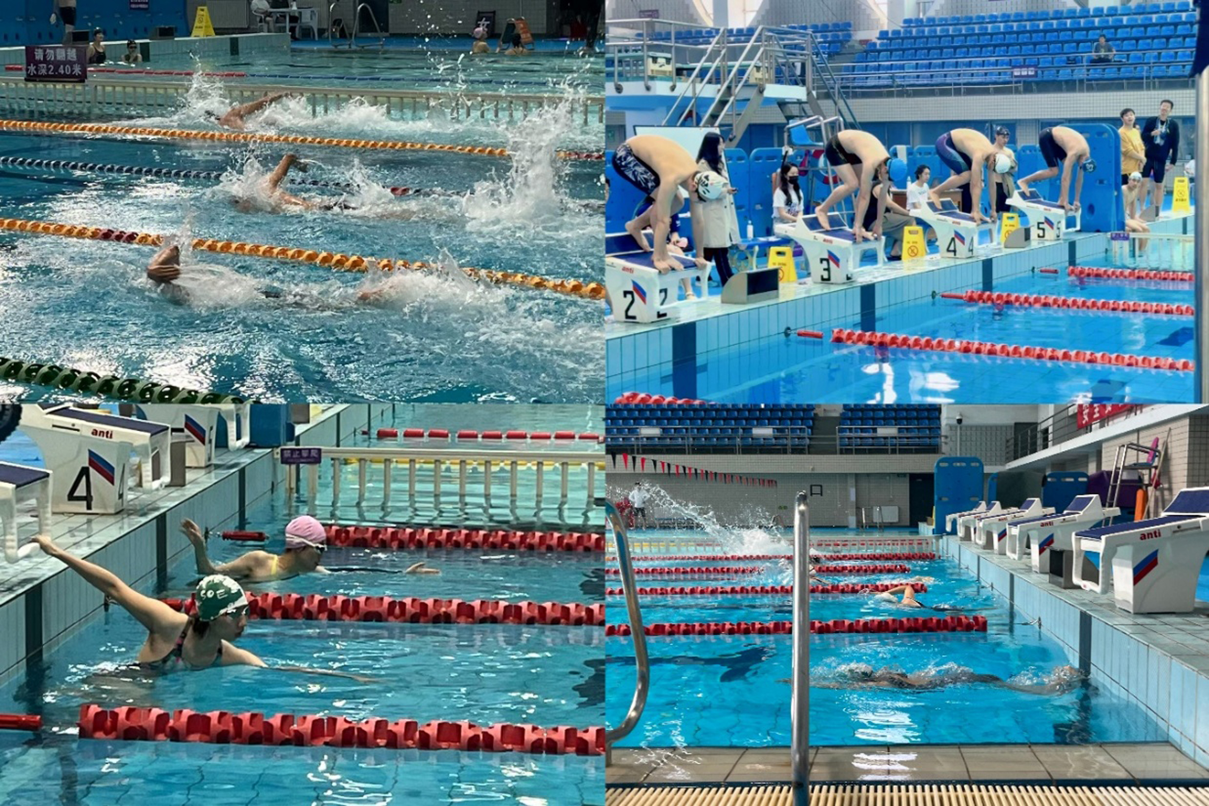 20250427-2025年春季学期乐鱼在线平台研究生游泳联赛-拼图-1.jpg