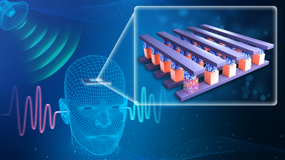 20220607-科研进展-高滨-类脑存算一体声音定位示意图jpeg 20220607-科研进展-高滨-类脑存算一体声音定位示意图jpeg