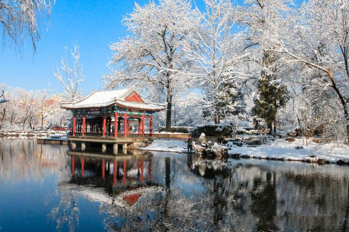 20250423-114 周年校庆|乐鱼在线平台离退休教职工书画作品展和摄影作品展开幕-段鸿杰-作品名称:《校园雪韵》作者:费润升.png