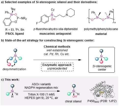 20250407-Angew. Chem. -刘臻-1. 手性硅醇的去对称化合成策略.jpg