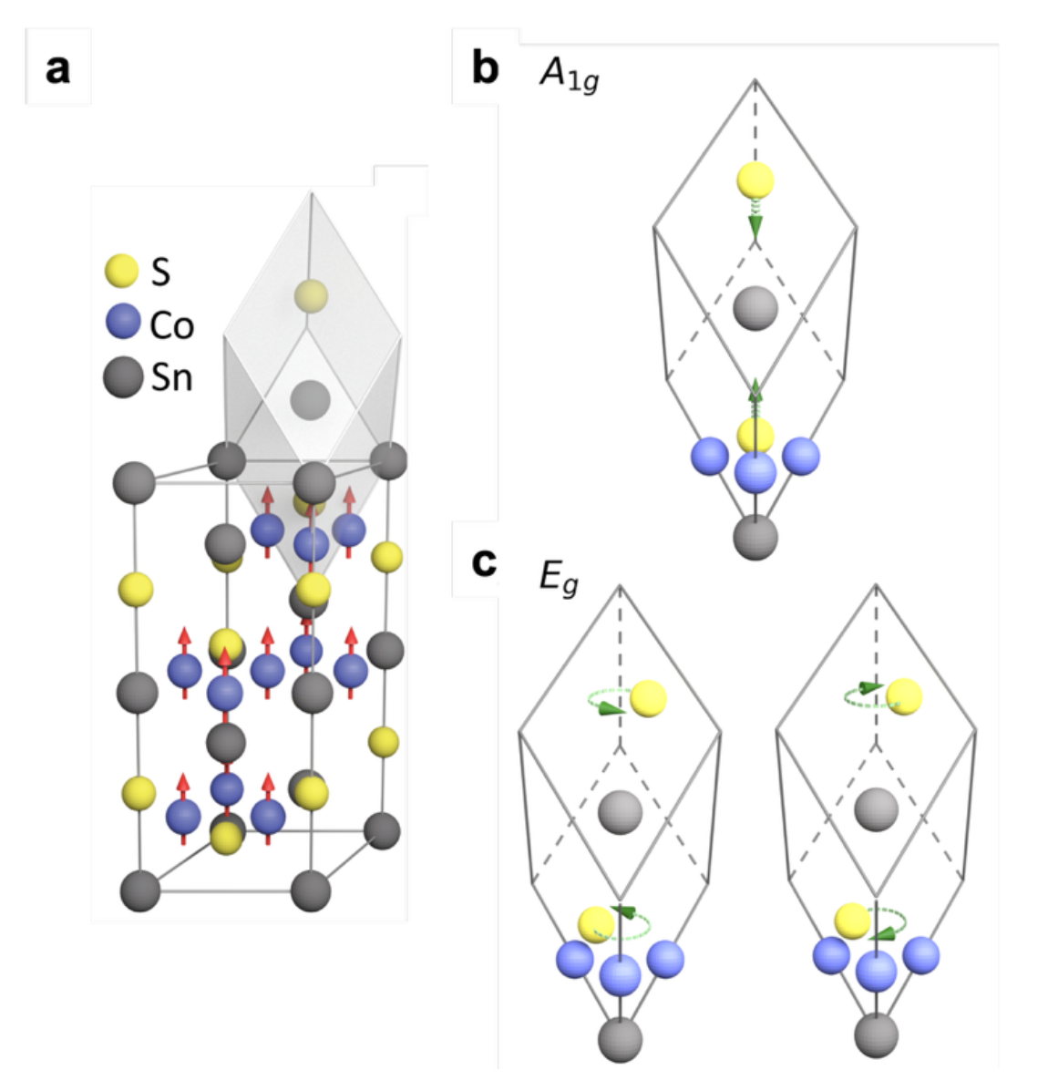 20250519-杨鲁懿等-Co3Sn2S2的晶格结构及拉曼活性声子模式-杨鲁懿png 20250519-杨鲁懿等-Co3Sn2S2的晶格结构及拉曼活性声子模式-杨鲁懿png
