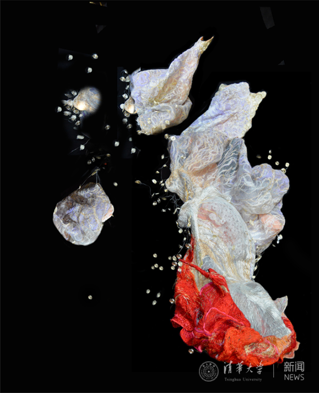 14.莫妮???超星???- 副本.jpg